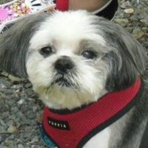 Meet your Posher, Judy